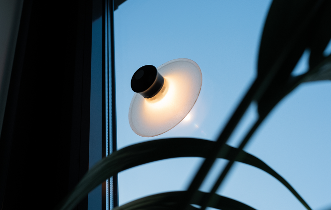 Mobile Leuchten für Fenster oder Glasoberflächen? Neozoon von Lukas Heintschel. Photo © Lukas Heintschel